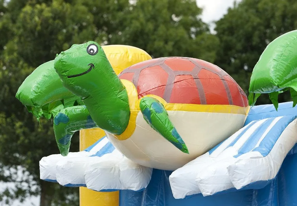 La tortue 3