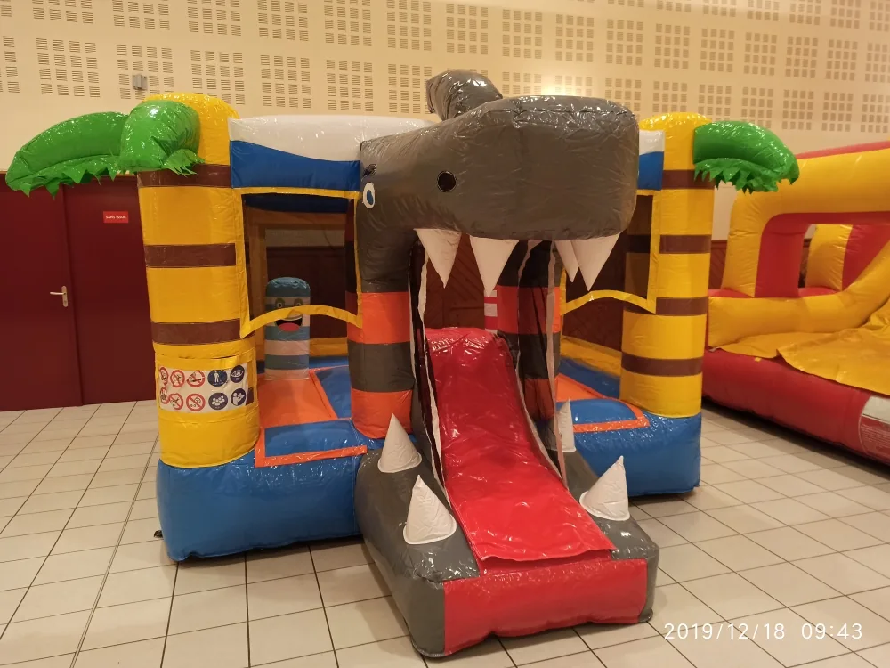 Le mini requin 2