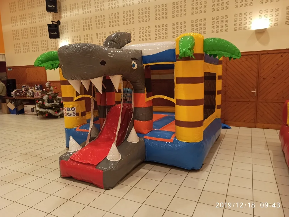 Le mini requin 3