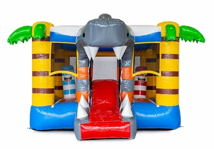 Le mini requin 4