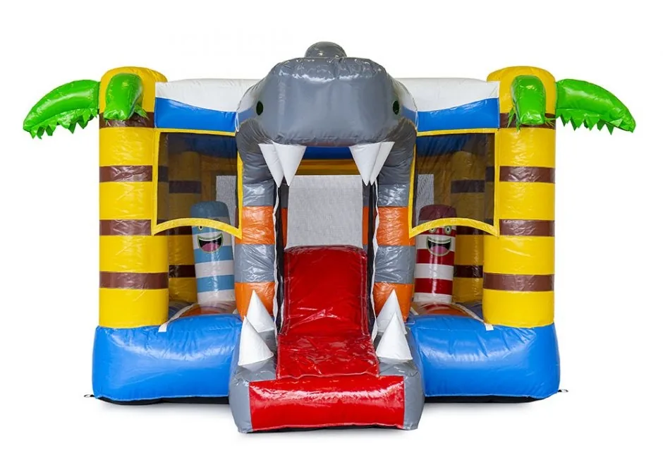 Le mini requin 5